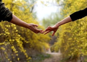 当爱情褪色,婚姻何去何从?——探索维持无感情婚姻的感情观