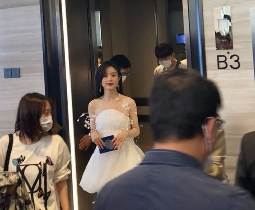 女方结过一次婚后离婚:揭秘再婚家庭的挑战与应对策略