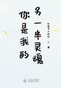 寻找灵魂伴侣:揭秘如何发现你的另一半灵魂