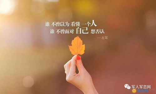分手后的心灵疗愈:如何走出失恋的阴霾?