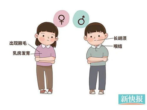 《小学同学竟成今日风云人物?揭秘意外重逢的惊喜与挑战》