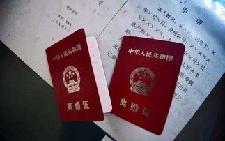 婚姻法新规下，男方应支付女方多少生活费？揭秘生活费计算标准与实际案例