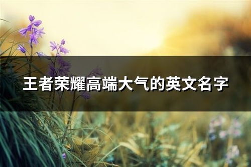 《爱情微语：微信网名中的女性情感密码解析》