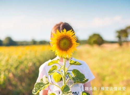 网络世界的信任危机:一位网名男生经历的背叛与欺骗
