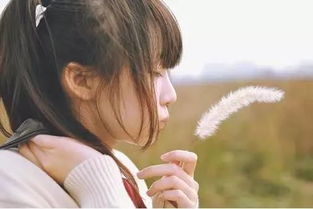 《当爱情背叛,如何安慰心碎的你?——专业指南助你走出阴霾》