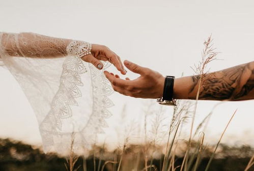 《婚姻挽救中心的坚守与蜕变：挽救婚姻，守护爱的港湾》