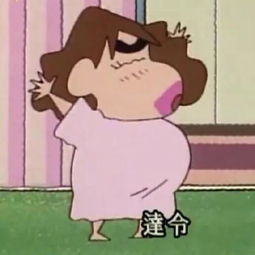 狮子男婚姻生活揭秘:如何与另一半和谐共处?