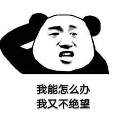 《未来爱人，我愿与您携手，共谱爱情新篇章——写给未来的另一半的爱情箴言