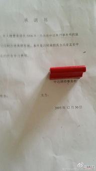 《婚姻的承诺:如何书写一封打动人心的爱情誓约书?》