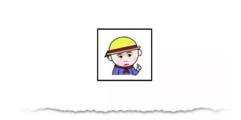 揭秘表白女生的高效套路:情话的艺术与技巧