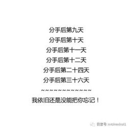 《女人分手后的8个阶段:揭秘情感重建之路》