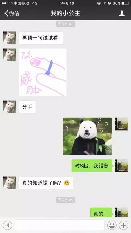 《道歉无难事,关键在套路——揭秘女生心中的完美道歉之道》
