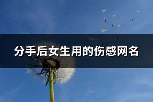 分手后的网名伤感女:揭秘网络情感的疗愈之路