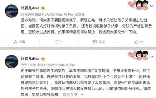 女方出轨反起诉离婚：法律视角下的家庭纷争解析