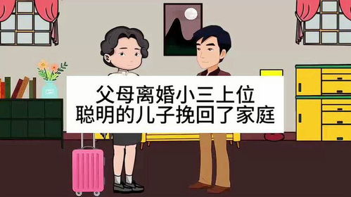 《小三挑拨离婚后的感情，能否挽回？专业解读与实用指南》