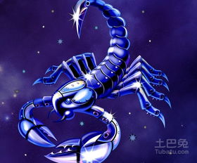 《天蝎男的心动瞬间：揭秘他们钟爱的亲密行为》