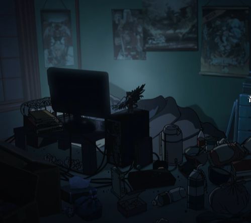 《揭秘宅男宅女婚后生活：他们的房间，藏着怎样的秘密？》