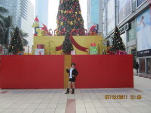 顺德婚姻交友中心：破解单身难题，让爱情触手可及