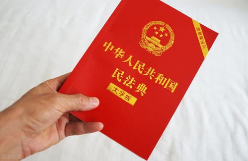 民法典视角下，女方婚内出轨如何处理？法律与情感的平衡之道