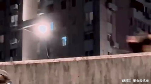 同居生活：谈对象后，男生为何想迈出这一步？