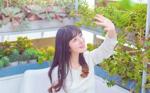 婚后最易被“小三”吸引的星座男人：揭秘其心理与应对策略