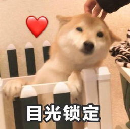 《揭秘约会新风尚：男女约会的隐蔽天堂探索指南》