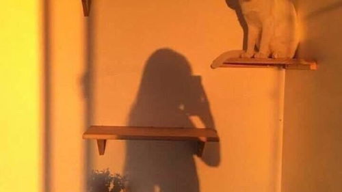 约会攻略：男生如何打造完美约会体验？