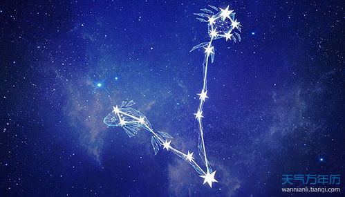 摩羯女 vs 天蝎男：揭秘他们相遇时是否会“上头”？