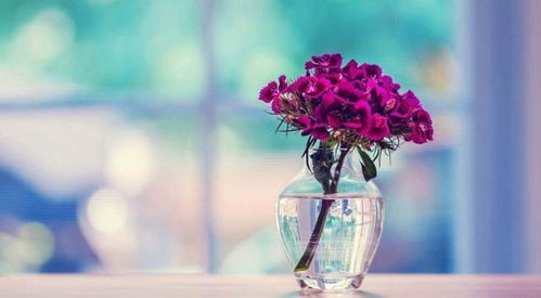 分手后，如何走出情感的阴影？专业指南助你重拾自我