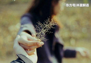 男人与小三：三年情感能否抵挡时间的考验？