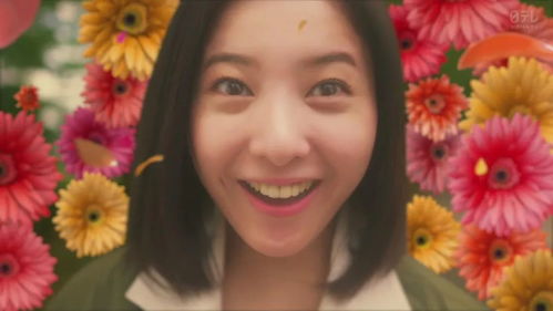 吉高由里子婚姻之谜：揭开明星私生活背后的数据真相