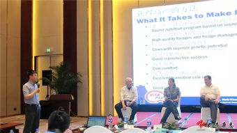 网络婚姻的全球管理挑战：揭秘国际婚姻中的戏码与策略