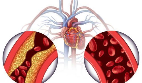 《和女生在一起，睾丸血管的秘密你了解多少？揭秘男性生殖健康新视角》