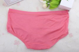 女式小三角裤衩：时尚潮流下的私密守护，你了解多少？