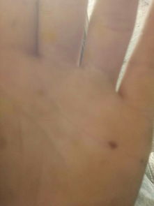 《左手婚姻线：揭秘左手线解读中的婚姻奥秘与应对策略》