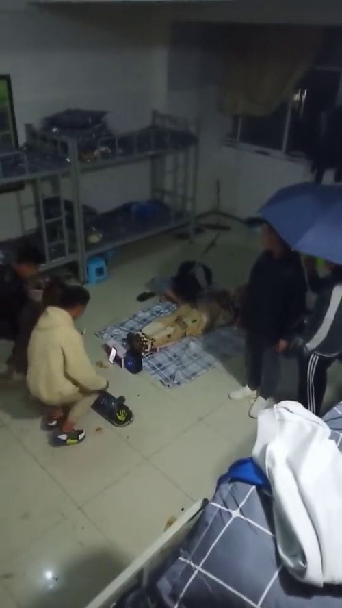 《男生宿舍那些下头行为：揭秘校园生活的隐秘角落》