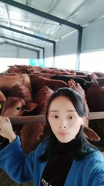 《小三怀孕后想复婚，离婚家庭如何面对这一棘手问题？》