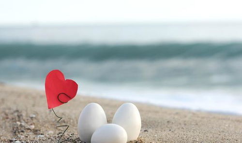 婚后另一半不上进，家庭和谐如何维护？