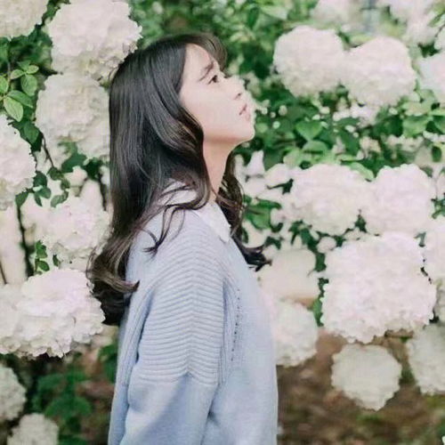 《网络空间中的伤感背影：揭秘小三女生网名的情感密码》