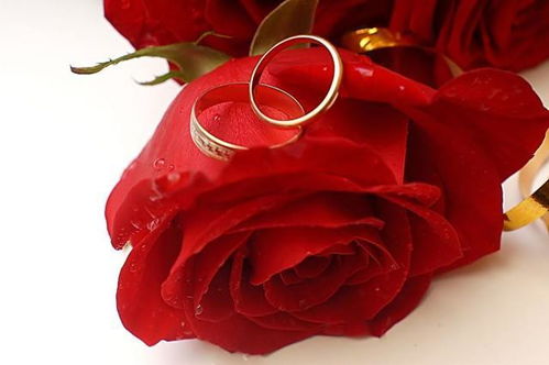 《婚前，她为何要卡上你的经济大权？揭秘婚恋中的经济“卡位”现象》