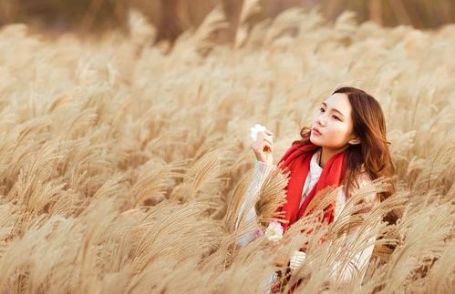 中年女人，为何选择戒掉爱情？