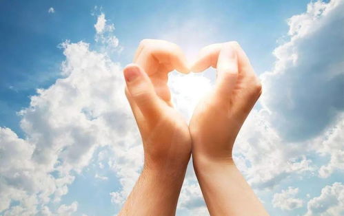 《爱情，何须海誓山盟？现代都市人的爱情观探析》