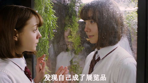 从男性到女性的奇妙转变：揭秘跨性别者的内心世界