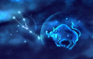 金牛女“上头”之谜：揭秘她们的情感痴迷现象