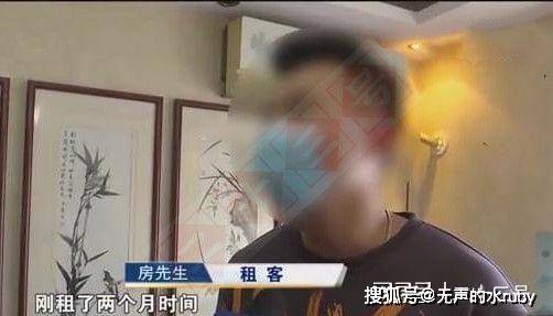 《同居伴侣间，房租负担该如何分配？揭秘同居经济新规则》