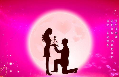 《爱情伴侣：你寻找的那一半究竟是什么样的？》