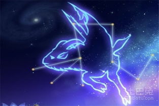 《摩羯座的坚守与背叛：揭秘他们发现另一半出轨后的反应》