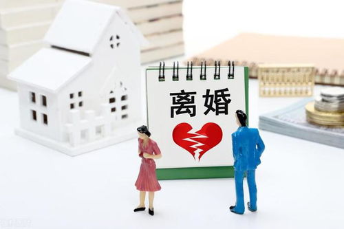 《婚姻中的债务划分：如何确保公平与和谐？》