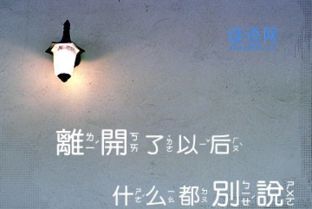 经典伤感分手日志：揭秘分手背后的心理密码