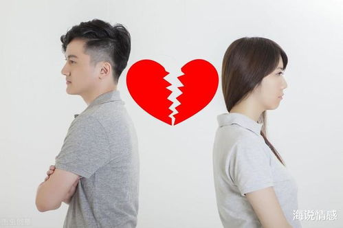 《婚姻的裂痕：揭开现代夫妻关系终结的密码》